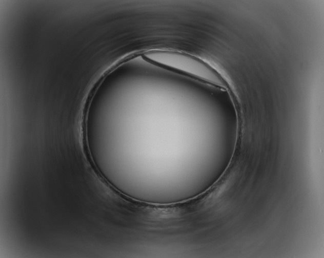 X0000088050941200705251319
