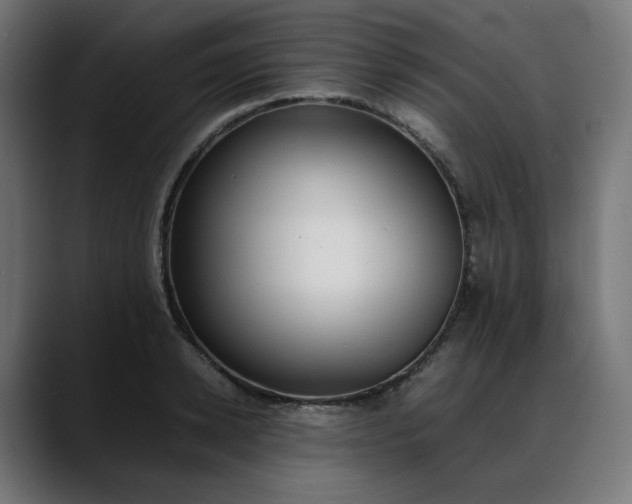 X0000088050942200705251319