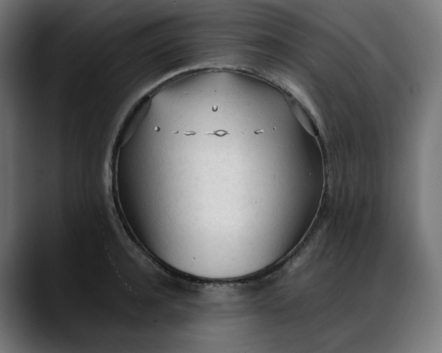 X0000088050944200705251319