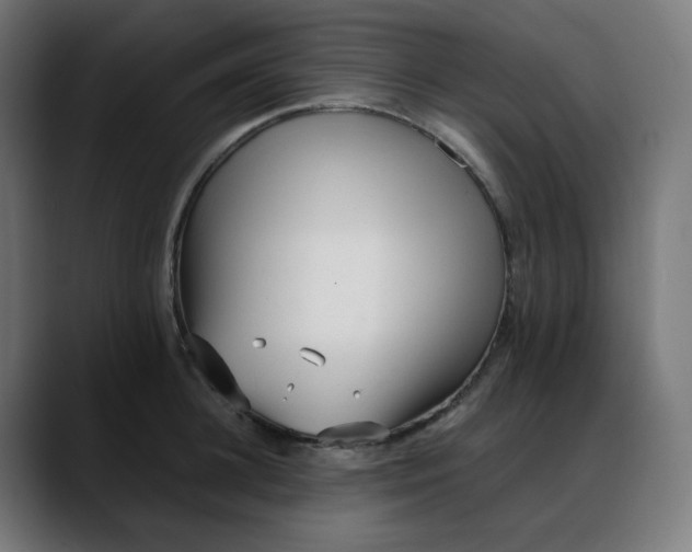 X0000088050948200705251319