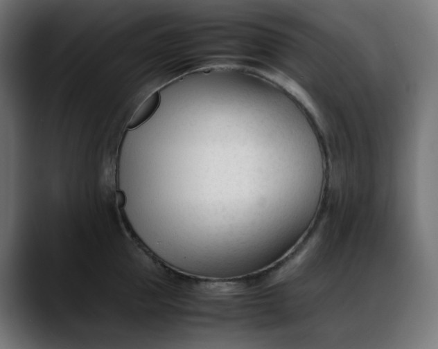 X0000088050953200705251319
