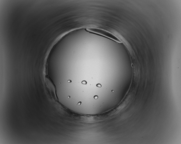 X0000088050956200705251319