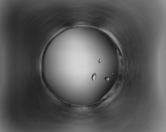 X0000088050957200705251319