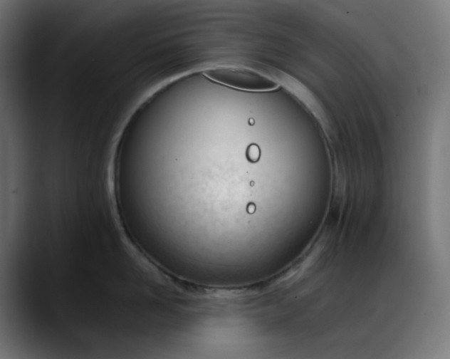 X0000088050958200705251319