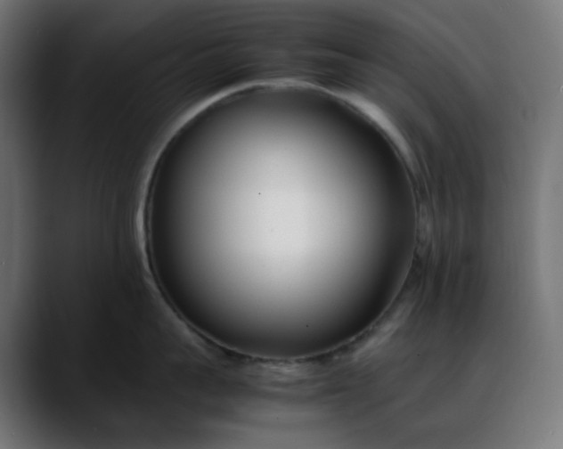 X0000088050959200705251319