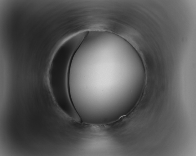 X0000088050960200705251319