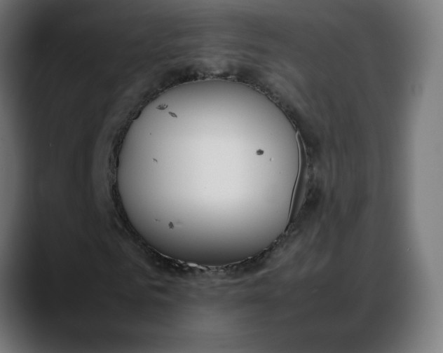 X0000088050961200705251319