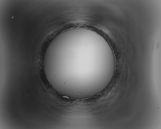 X0000088050967200705251319