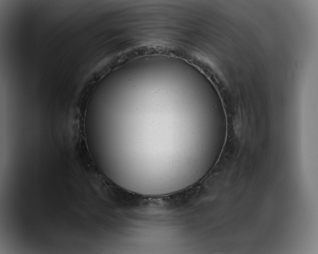 X0000088050968200705251319
