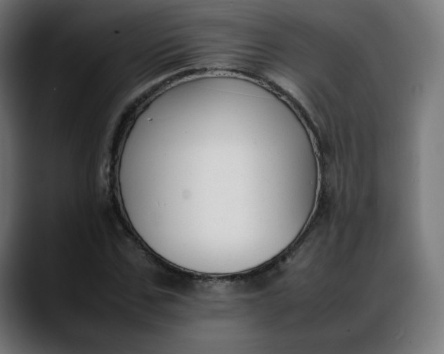 X0000088050971200705251319