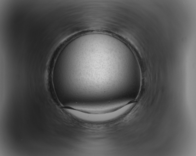 X0000088050975200705251319