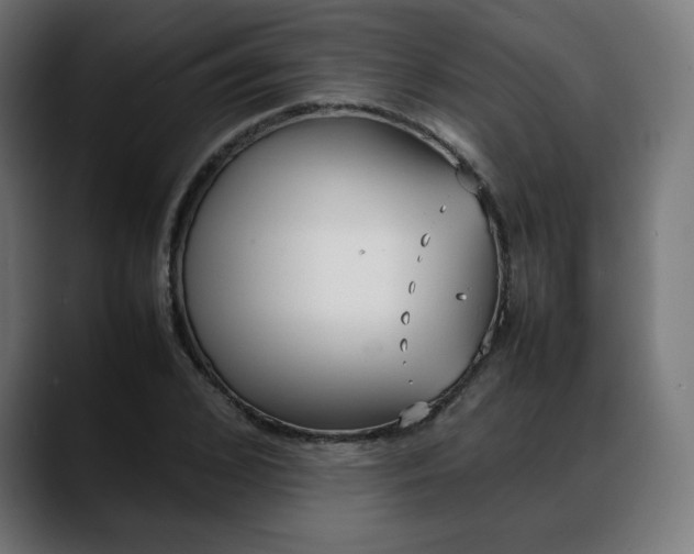 X0000088050976200705251319