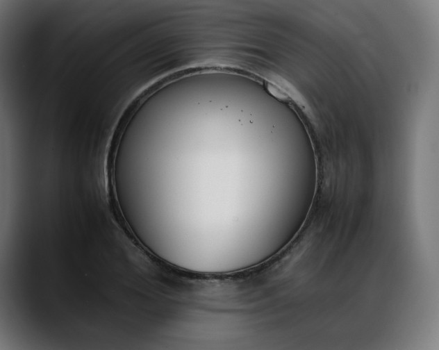 X0000088050980200705251319