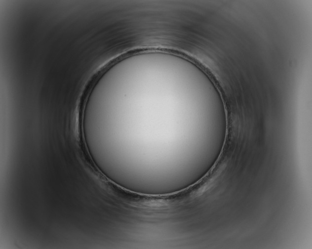 X0000088050982200705251319