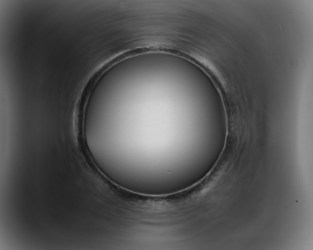 X0000088050983200705251319