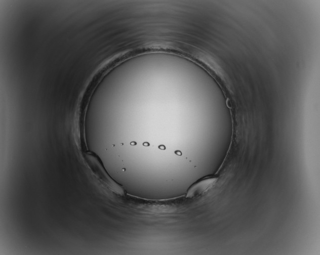 X0000088050984200705251319