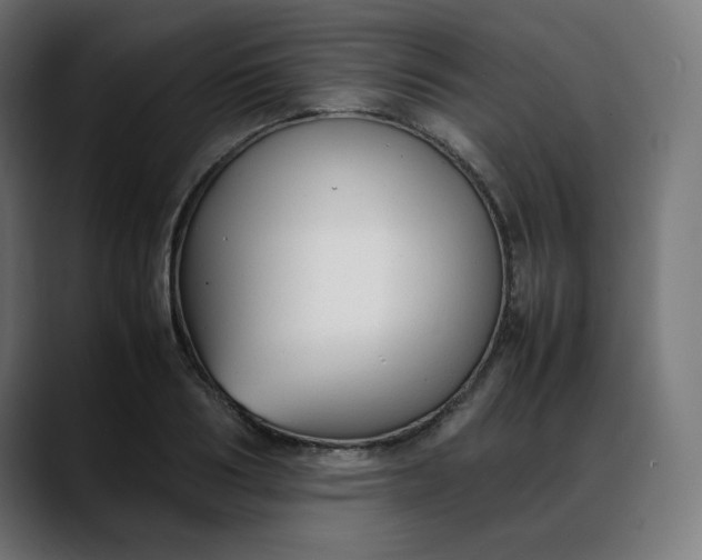 X0000088050986200705251319