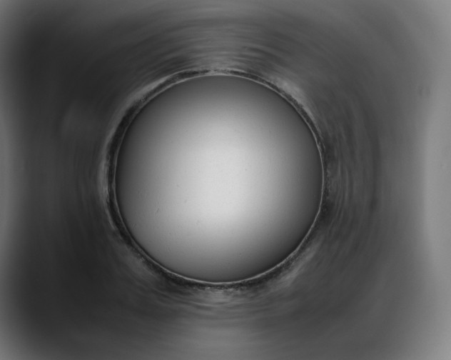 X0000088050987200705251319