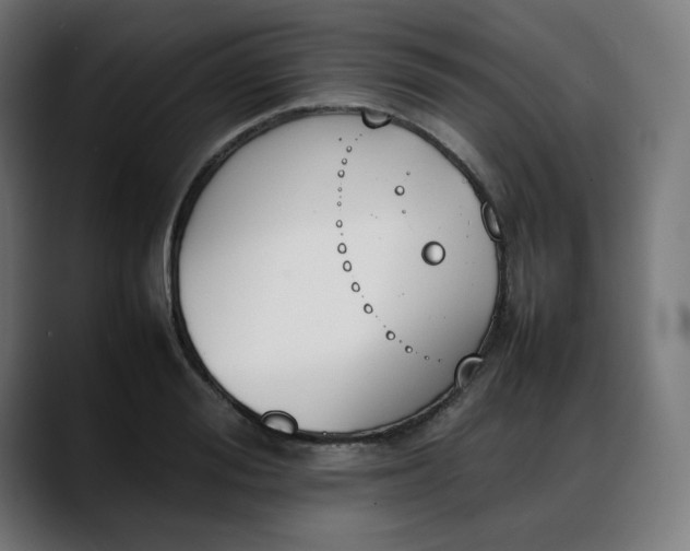 X0000088050988200705251319