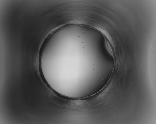 X0000088050992200705251318