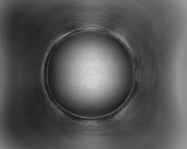 X0000088050995200705251318
