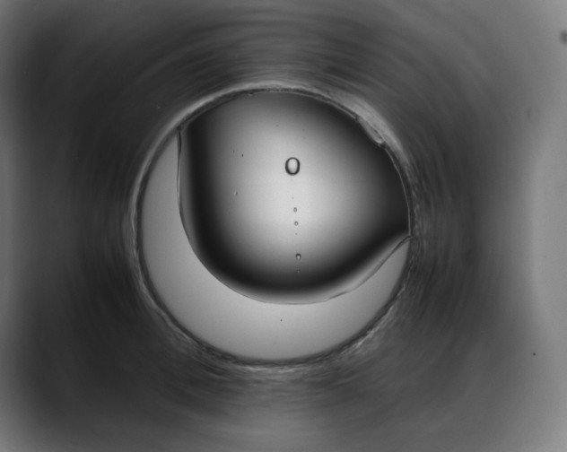 X0000088050996200705251318