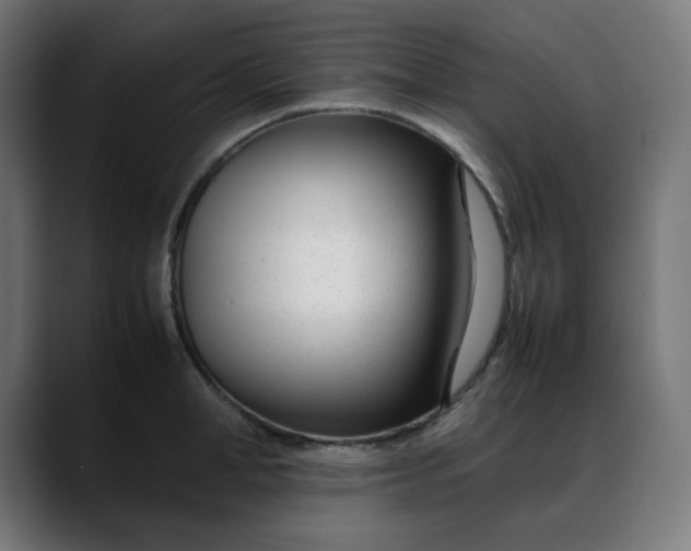 X0000088050998200705251318