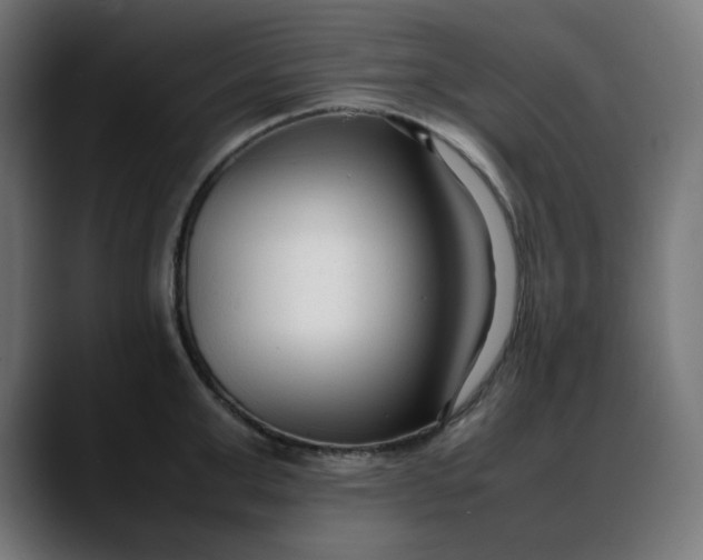 X0000088050999200705251318