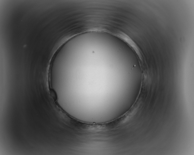 X0000088051002200705251318