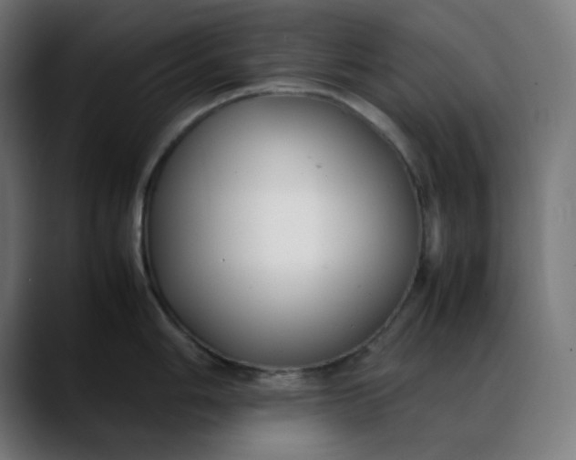 X0000088051006200705251318