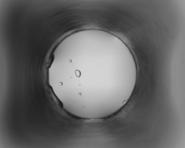 X0000088051008200705251318
