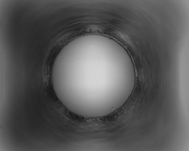 X0000088051015200705251318