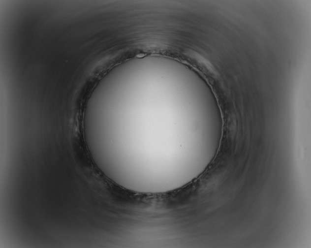 X0000088051016200705251318