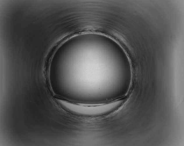 X0000088051018200705251318