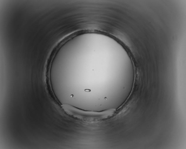 X0000088051020200705251318