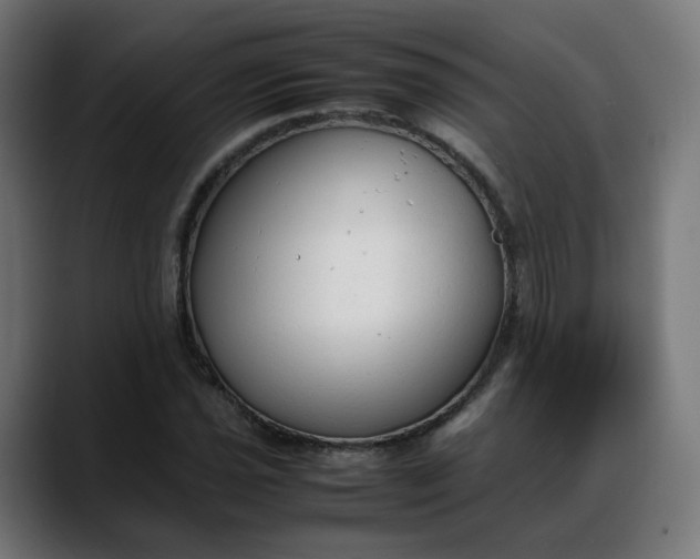 X0000088051021200705251318