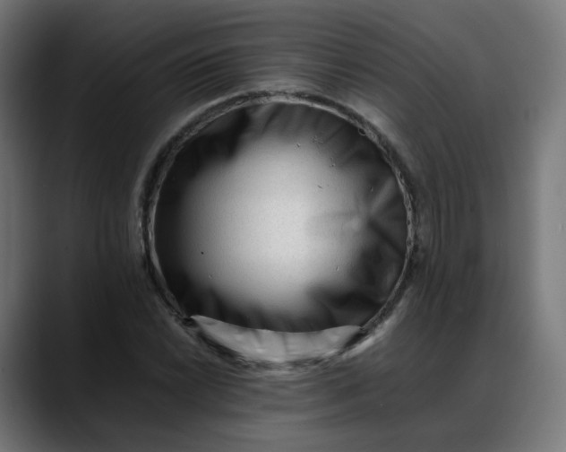 X0000088051022200705251318