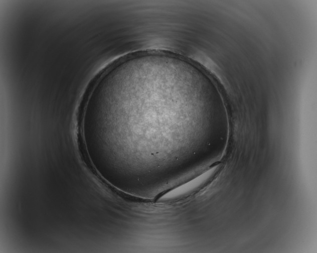 X0000088051024200705251318