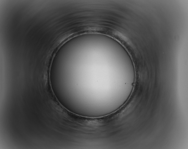 X0000088051025200705251318