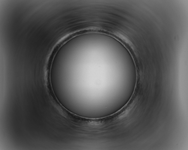 X0000088051029200705251318