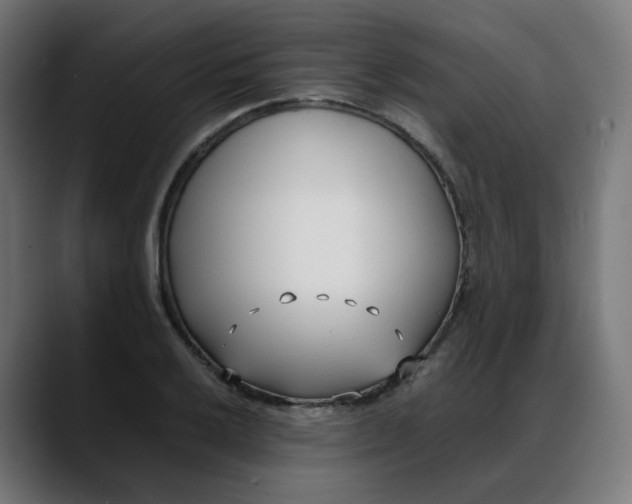 X0000088051032200705251318