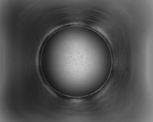 X0000088051037200705251318