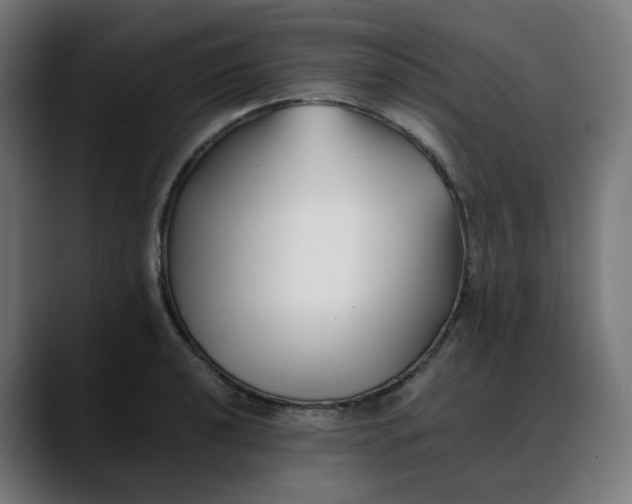 X0000088051040200705251318