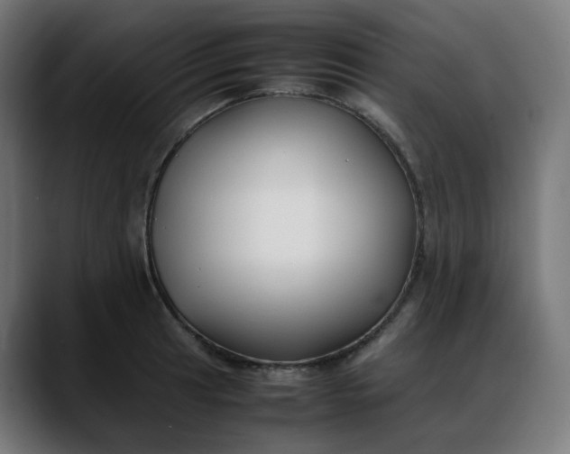 X0000088051041200705251318
