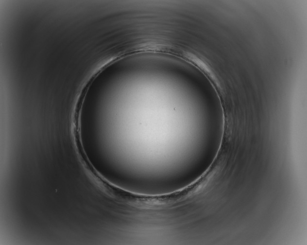 X0000088051042200705251318