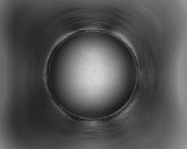 X0000088051045200705251318