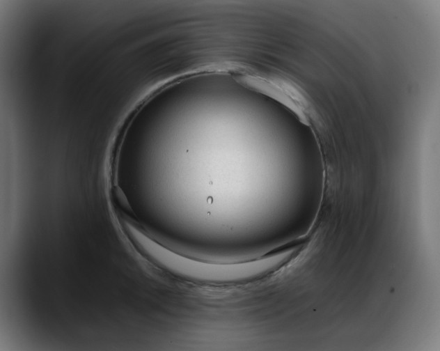 X0000088051046200705251318