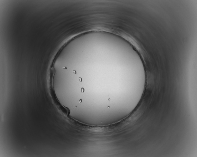X0000088051048200705251318