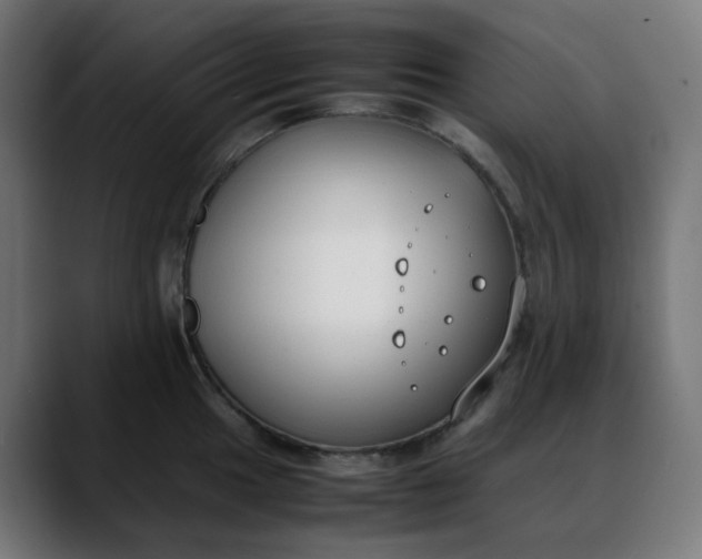 X0000088051049200705251318