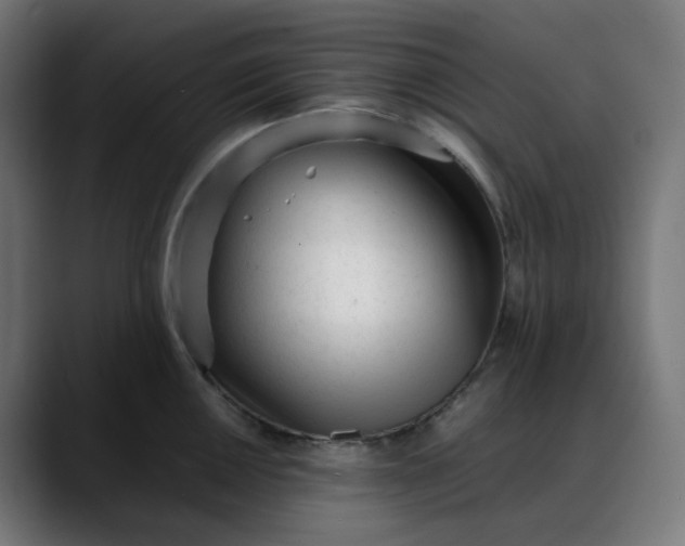 X0000088051050200705251318